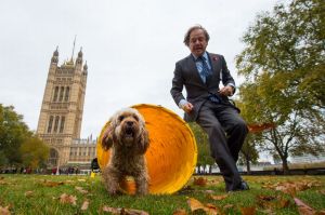 Hugo-Swire-MP