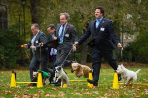 Members-of-Parliament